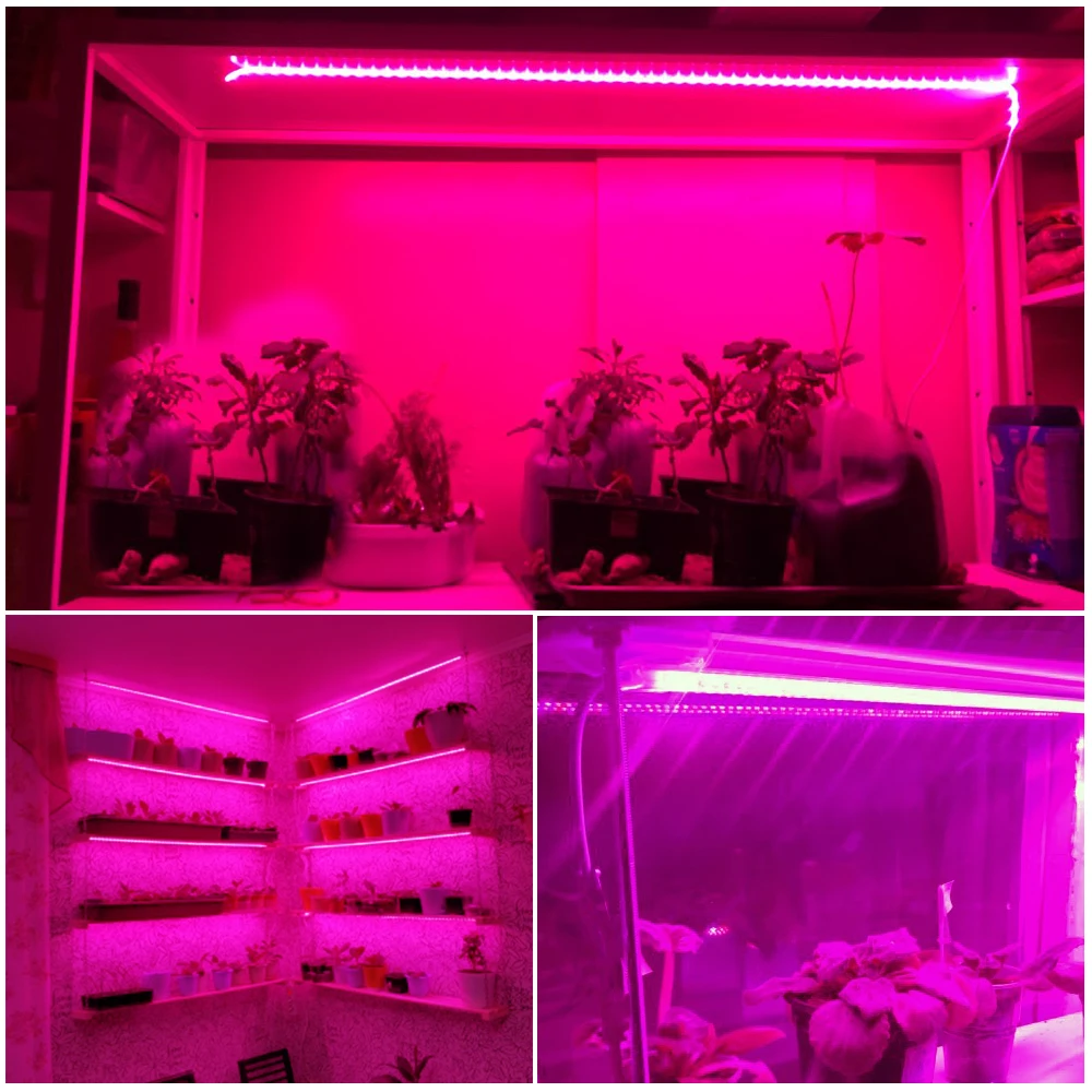 LED Grow Light Strip Full Spectrum Waterproof Phyto Lamp AC220V 120LEDs/M Flexible LED Strip Light for Plants Flowers Hydroponic