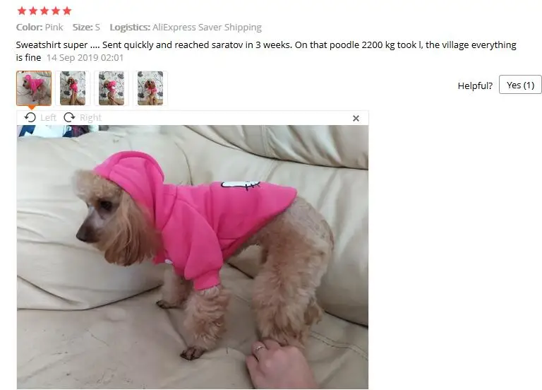 QQ截图20191222155438