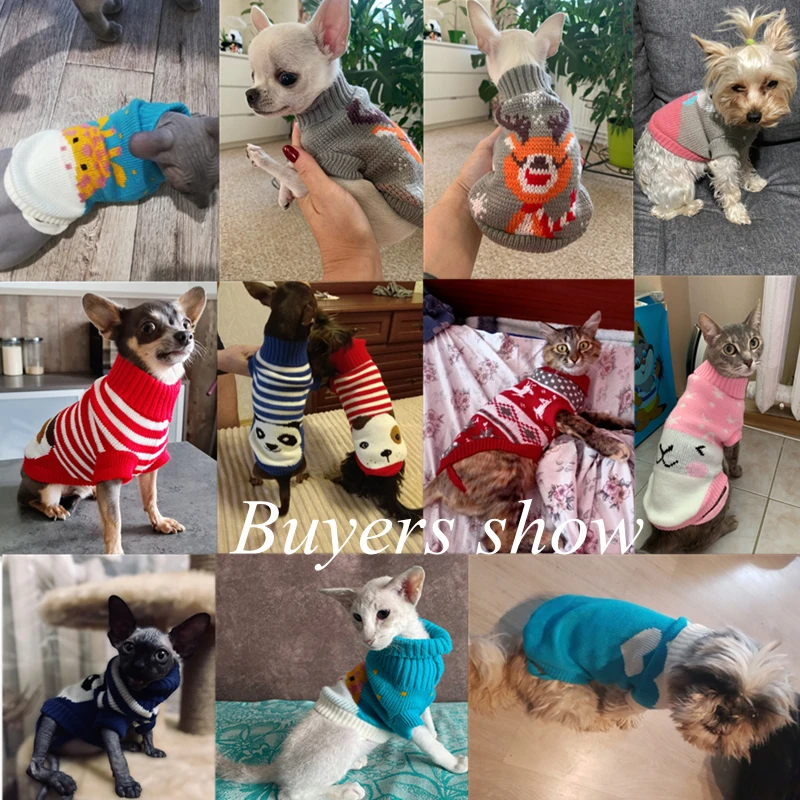 Winter Is Not Cold With Sweet Cartoon Sweaters For Dogs