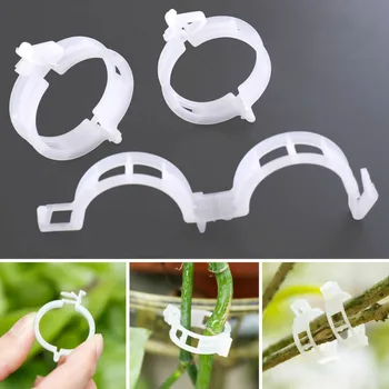 

Plastic Plant Support Clips 50/150Pcs Vine Tomato Stem Vegetable Fixing Clip Garden Greenhouse Accessories Plant Clips