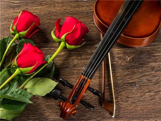 Huacan-5D-DIY-Diamond-Painting-Flower-Rose-Full-Drill-Square-Diamond-Embroidery-Cross-Stitch-Rhinestone-Picture.jpg_.webp_640x640 (8)