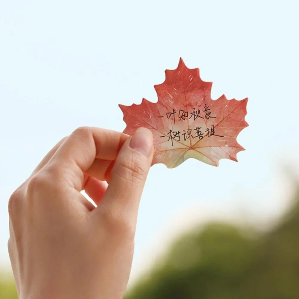 HCG6462B_06