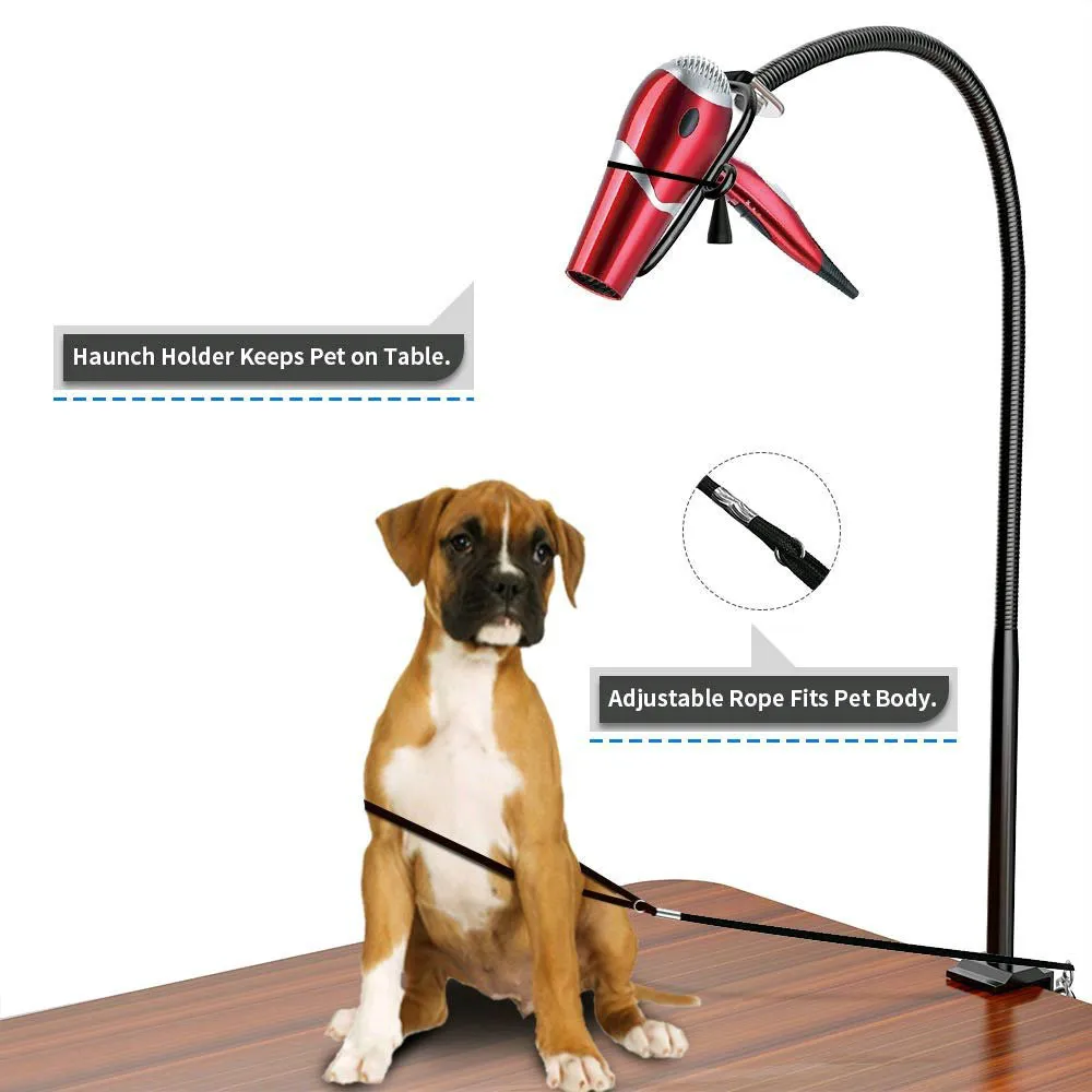 suporte ajustável máquina de sopro de água secador de cabelo do animal de estimação suporte para cuidados com gato do cão suporte braço ferramentas produtos