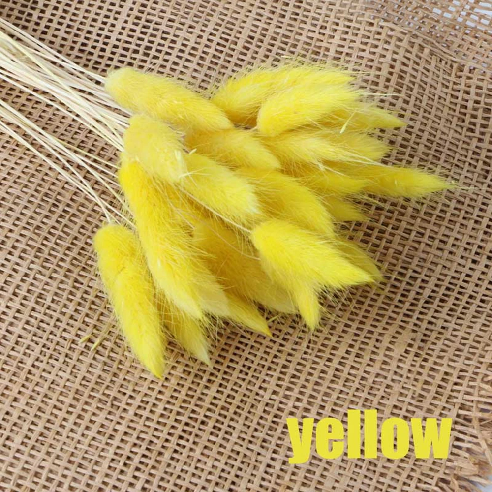 yellow 30 шт./лот, Свадебный декор, Натуральные сушеные цветы, Красочный Букет цветов для кроличьего хвоста, трава, букет, домашнее искусственное украшение - Цвет: yellow