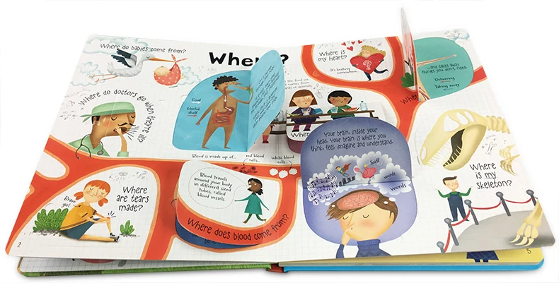 Questiones e Respostas sobre Seu Livros de Imagem Usborne Lift-the-flap Corpo Inglês Educacional Bebê Crianças Aprendendo Leitura Presente 3 Computers & Electronics