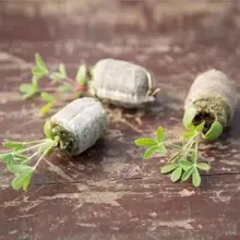 5 шт 30 мм торф гранулы семян пусковые вилки поддон посадки блоки грунта под рассаду U