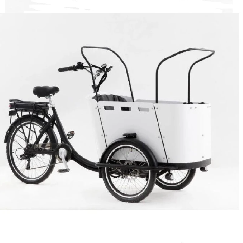 family trike bike