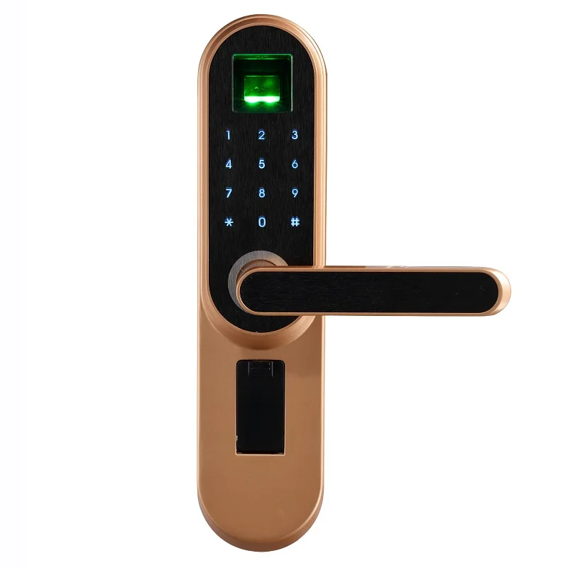 Биометрический отпечаток пальца электронный дверной замок, код, сенсорный экран цифровой пароль без ключа Умный Замок для домашнего офиса lk18A1F - Цвет: Optics Champagne
