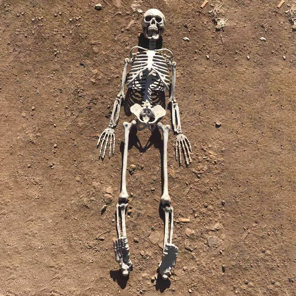 90cm Simulation Human Skeleton Ornament Halloween Party Bar Haunted House Props Halloween Hanging Ornaments Decor