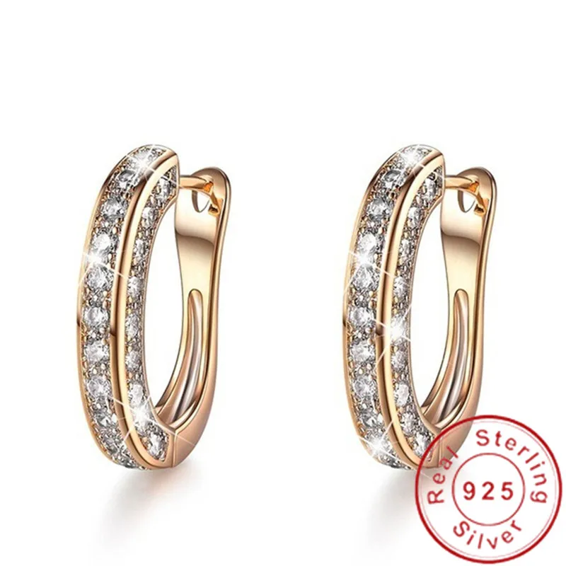 

Fashion Female Drop Earrring AAAAA cz 925 sterling silver Charm Statement Party Wedding Dangle Earrings for women Bridal Jewelry