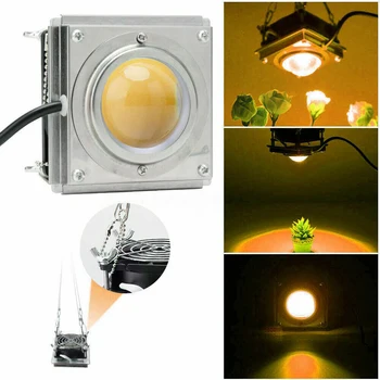 

Original COB 110/220V 60W LED Grow Light US/EU/AU/UK Plug Full Spectrum LED Indoor Veg Seed Plant Growth Lighting Growing Lamp