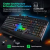 Mouse & Keyboards