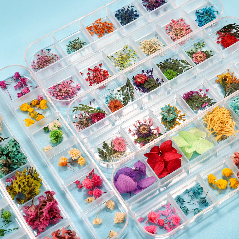 Fiori Secchi Naturali Per Fai Da Te - Scatola Decorativa Blu Per Scrapbooking E Resina Epossidica - Foto 9