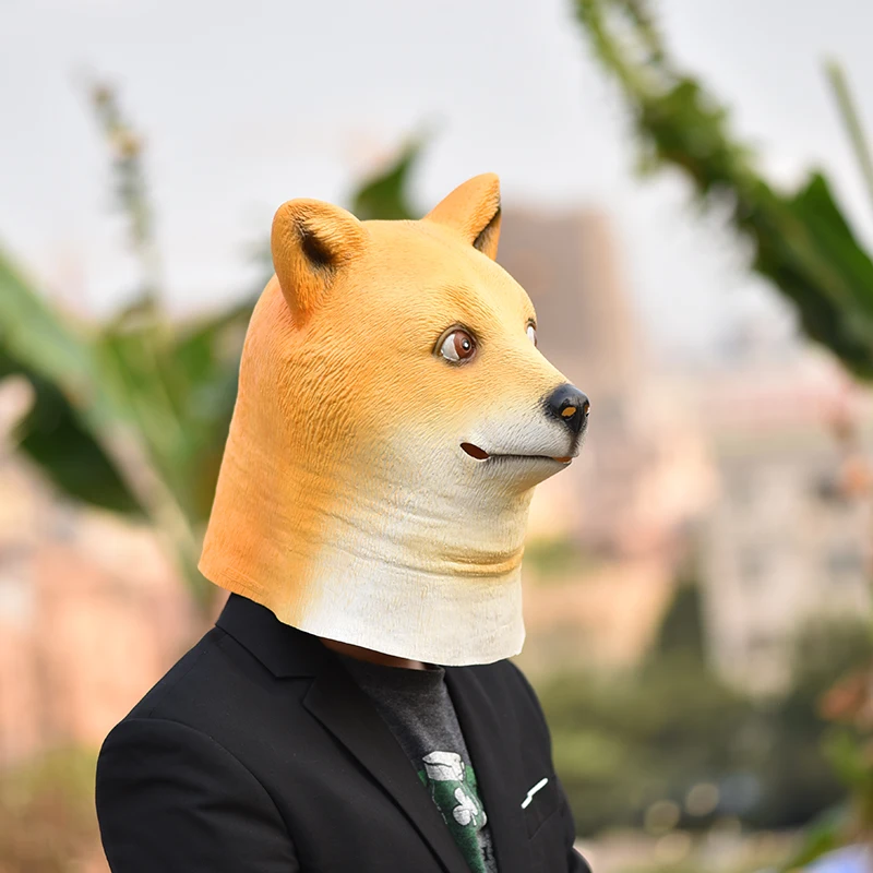 īϹ ҷ Kabosu   Ӹ LatexMask      ȸ Ƽ ǻ, ִ ģ