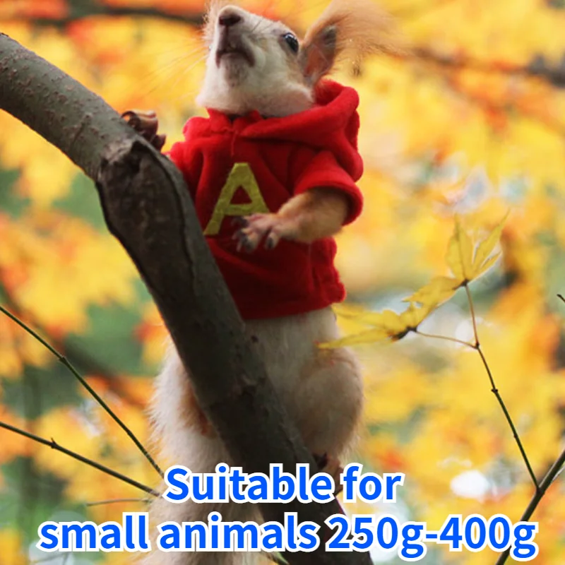 

Small Pet Hamster Clothes for Squirrels Guinea Pigs Chipmunks 240g-400g Small Animals Winter Outfits Photo Supplies Props Coat