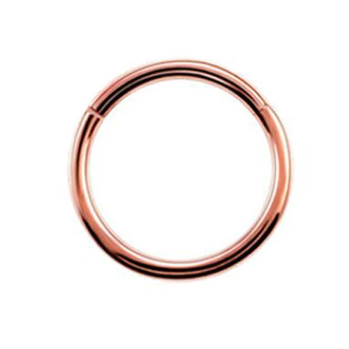 Rose Gold 1 шт. G23 18 г и 16gTitanium сегментные шарнирные кольца Перегородка носа кликер пирсинг носа губы Серьги Спираль пирсинг носа ювелирные изделия для тела - Окраска металла: Rose Gold