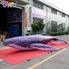 Factory Wholesale 3~12M Length Giant Inflatable Whale For Sale / 10 ft Inflatable Killer Whale Balloons - Toys 1