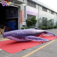 Factory Wholesale 3~12M Length Giant Inflatable Whale For Sale / 10 ft Inflatable Killer Whale Balloons - Toys 1