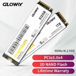 Gloway – Disque Dur interne SSD, M.2, capacité de 512 go, 1 to, 256 go, pour ordinateur portable 