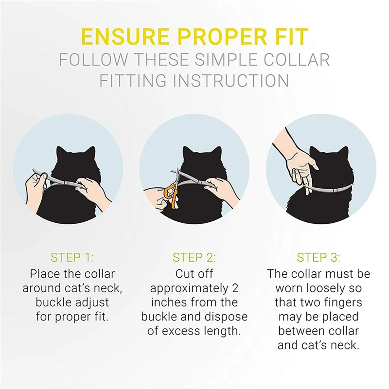 fitting a cat collar