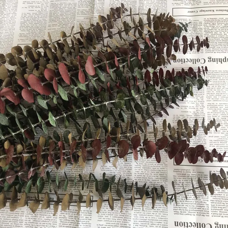 QQ图片20200811092308