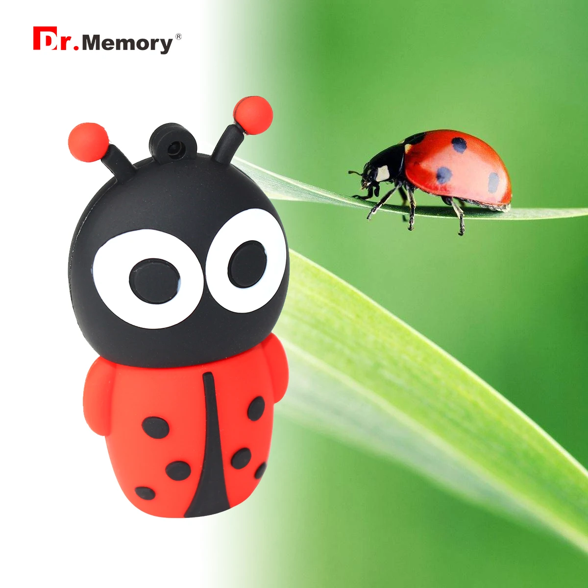

Dr. Memory Cute Ladybug USB Flash Drives 4GB USB2.0 Pen Drive Flash Memory Card 8GB 16GB 64GB 128GB Memory Stick USB Key