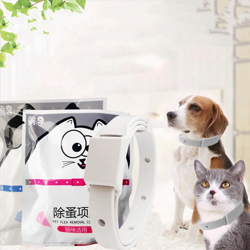 16482983496_241950136