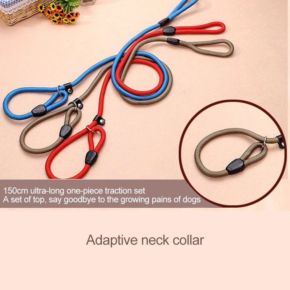 

Nylon Dog Training Leash Dogs P Chain Anti-riot Slip Collar Walking Leads Rope For Small Medium Breeds Chihuahua Teddy