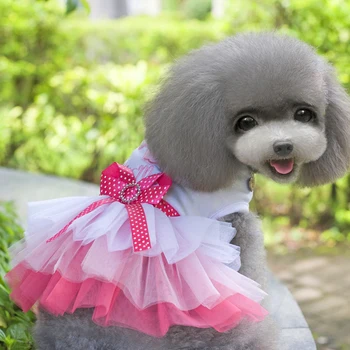 

Dog Clothes for Small Dogs Dress Sweety Princess Dress Spring Summer Puppy Small Dog Lace Princess Chihuahua Dog Mascotas Roupa