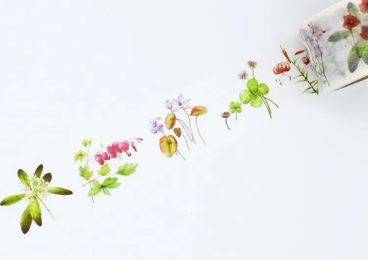 HTB1KijvKVXXXXaBaXXXq6xXFXXXO