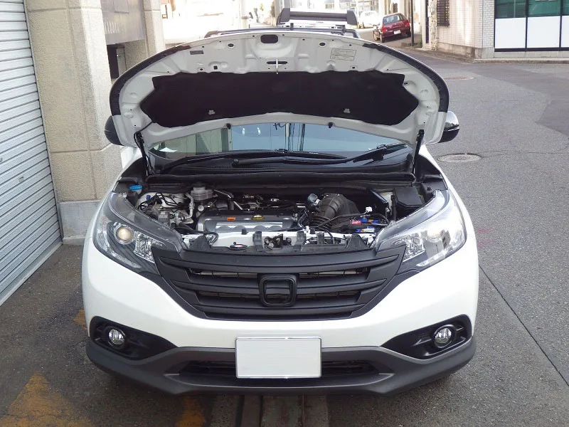 Демпфер для 2010-2018 Nissan LEAF ZE0 хэтчбек передний капот модифицировать газовые стойки