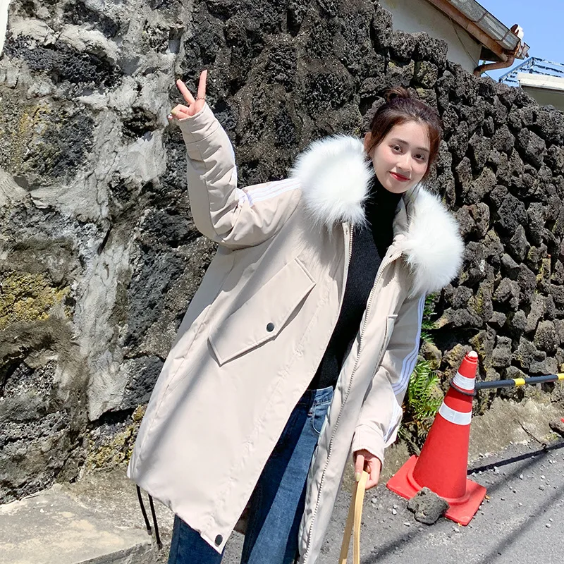 

2019 Cotton-padded Clothes Winter Korean-style Mid-length Large Fur Collar down Jacket Cotton-padded Clothes Large Size Students