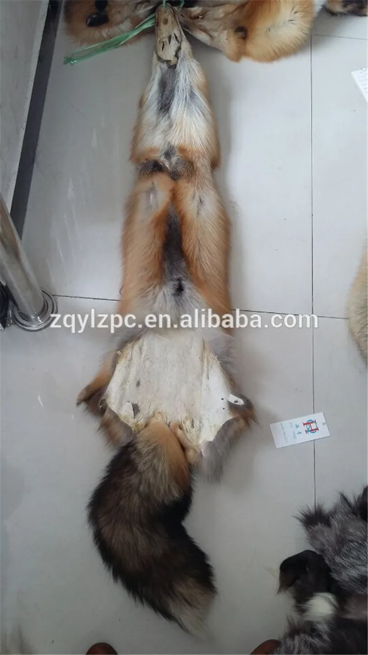 red fox skin04