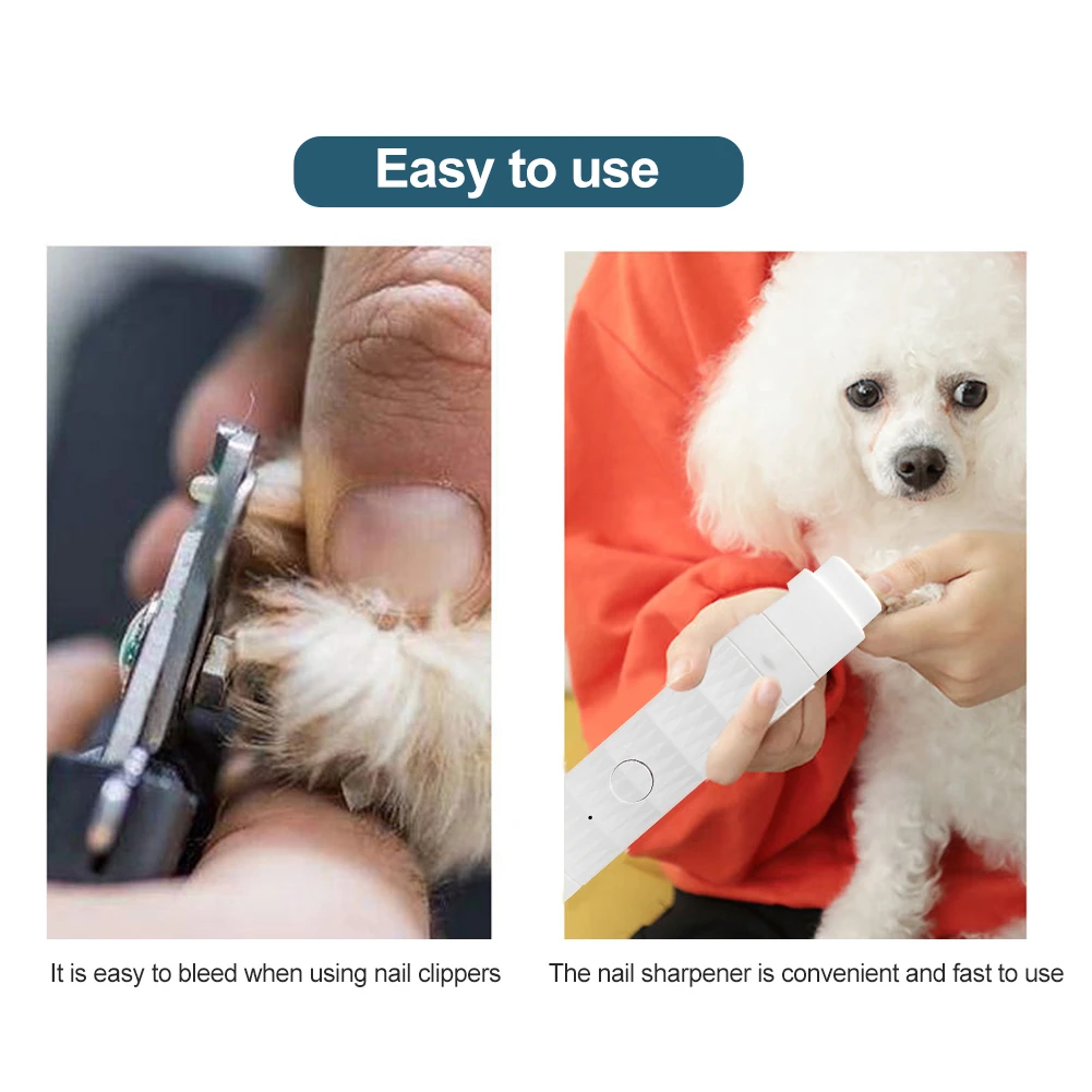 Why Do Dogs Spin Fast