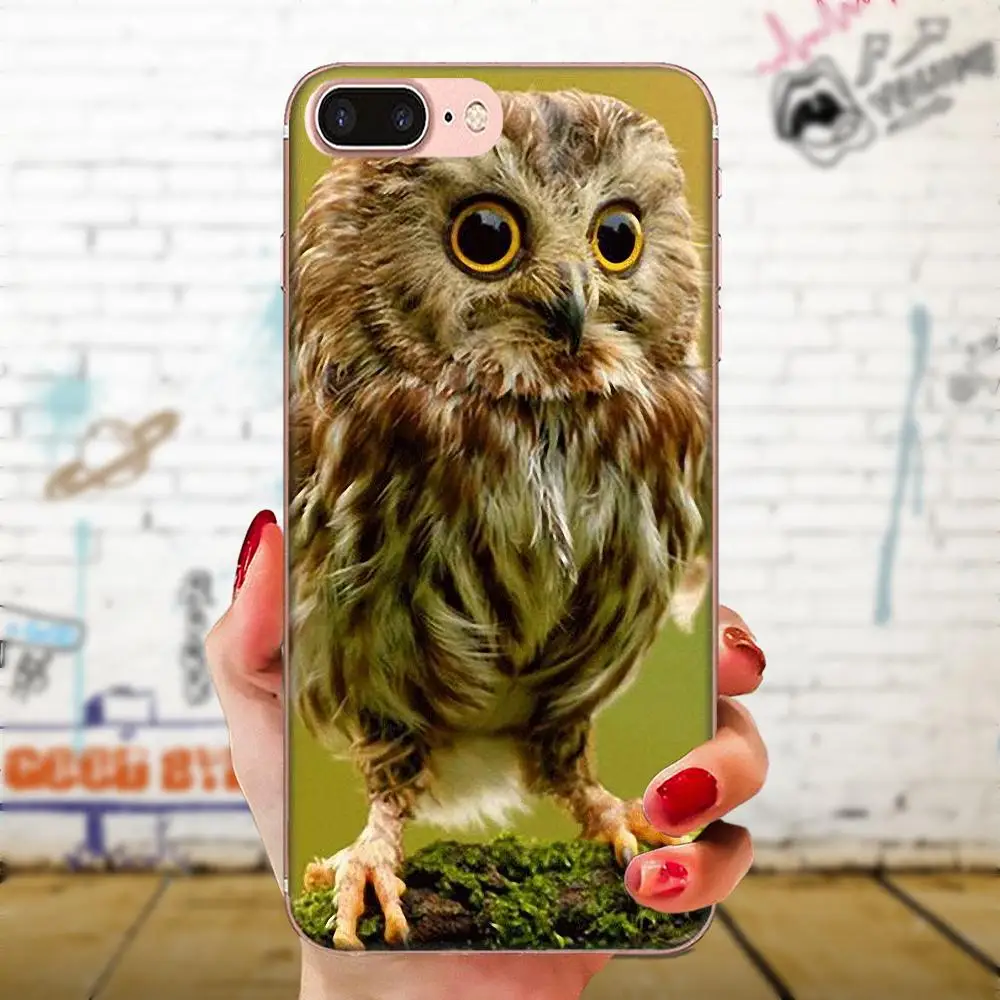 Милый сова мультфильм для Xiaomi Redmi Mi 4 7A 9T K20 CC9 CC9e Note 7 9 Y3 SE Pro Prime Go Play TPU Cool