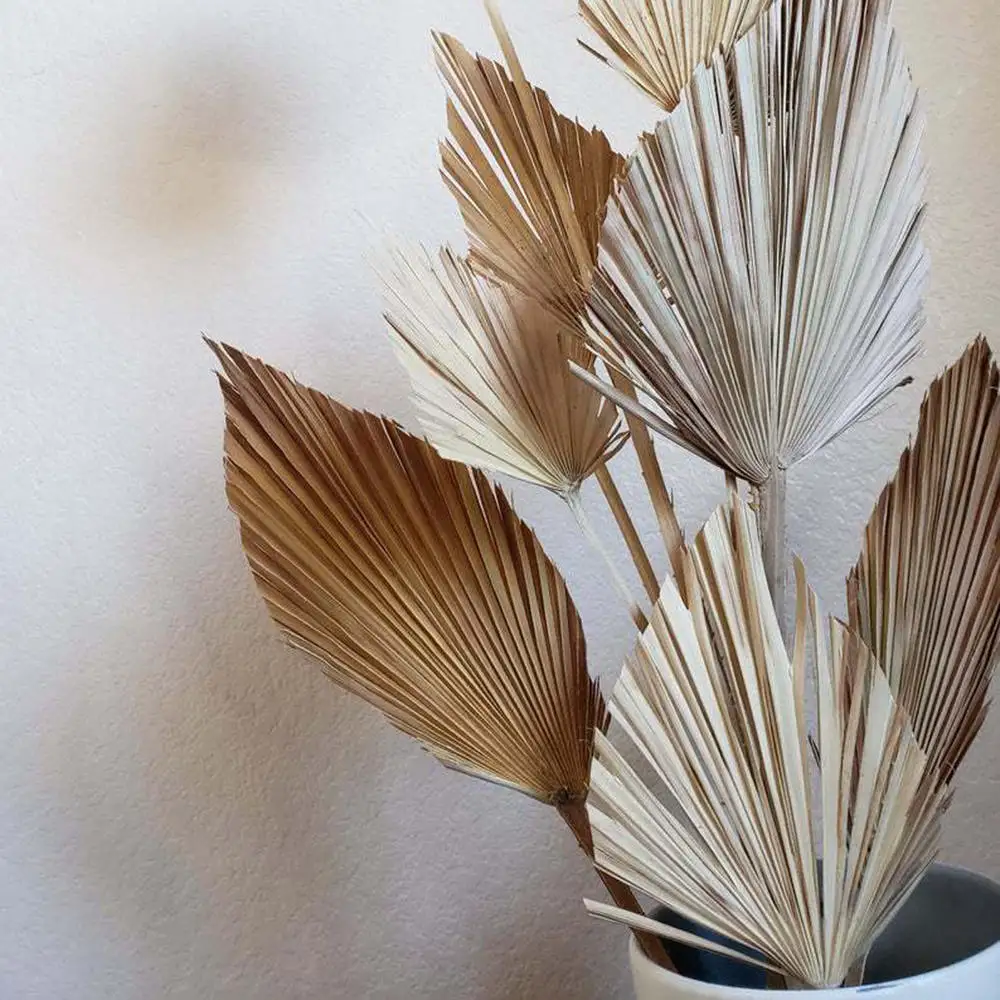 자연 말린 꽃 팜 리프 팬 공장 팜 말린 나무 잎 홈 가든 웨딩 파티 침실 장식