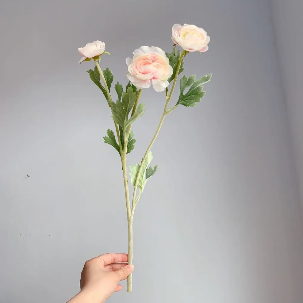 d17fe8397c3e478c5e07cf2c8251143