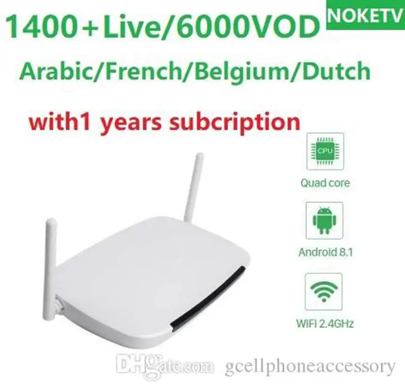 Leadcool Q9 Android 8,1 tv Box со смарт IP tv арабский французский 1 год NOKE tv подписка Испания арабский Португалия IP tv Box