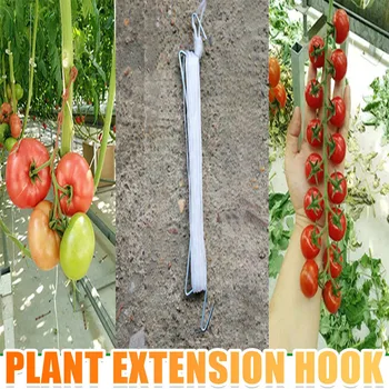 

10pcs/set Plant Hook Garden Plant Support Tomato Support J Hook Vegetables Plant Holder 10m Tomato Support Clips Trellis#YL10