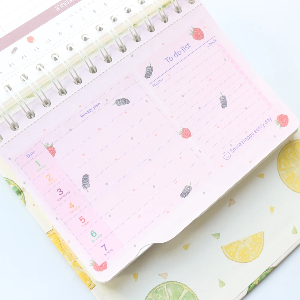 Domikee new cute fruit daily weekly planner notebook,kawaii daily schedule agenda planner organizer stationery A5