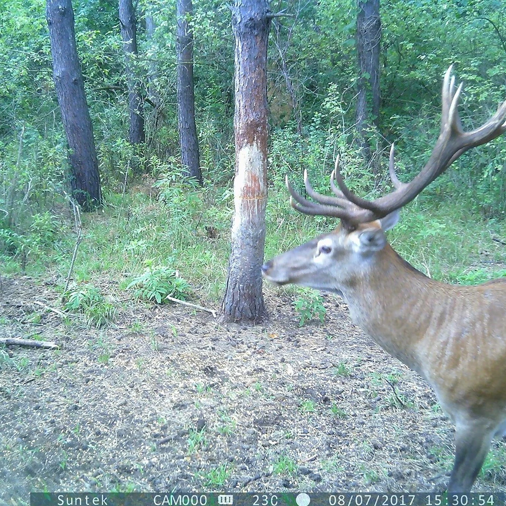 Suntekcam 2G GSM Trail дикая охотничья Камера ловушки фото HC700M 16MP 1080P MMS инфракрасная камера ночного видения Видеокамера s наблюдения