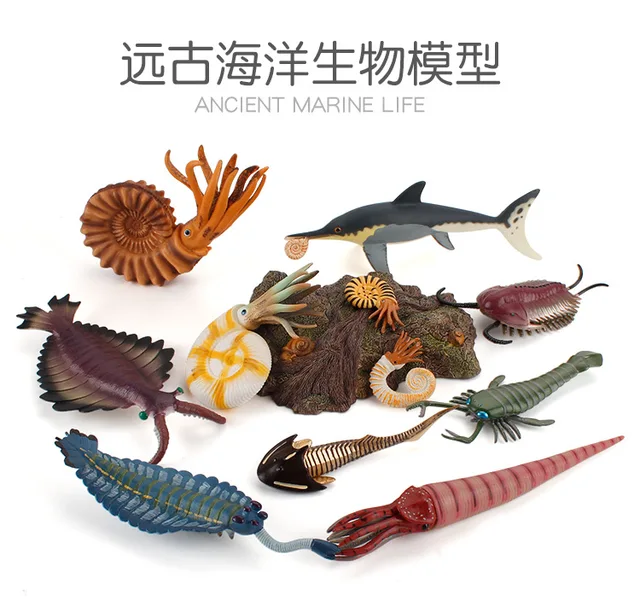 Ocean Life (海の生きもの) 彫刻アクセサリー 生きもの
