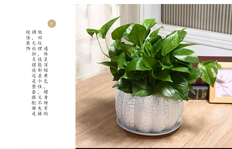 Green Luo Flowerpot Originality Household Tuba Oversize Indoor Orchid Flowerpot Ceramics Belt Tray Meatballs