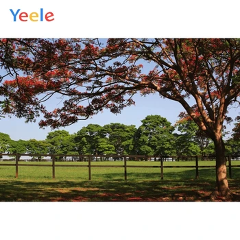 

Summer Holiday Backdrop Rural Landscape Green Tree Grassland Photography Personalized Photographic Background For Photo Studio