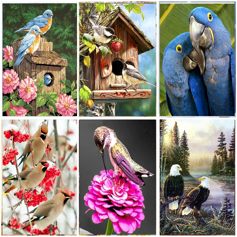 

Full Round Bird Pattern Animals 5D DIY Diamond Painting Set Art New Arrival Embroidery Crystal Mosaic Cross stitch Adults Gift
