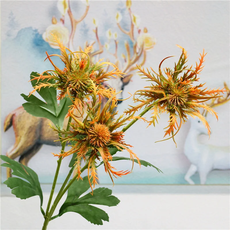 11299703419_1735480233