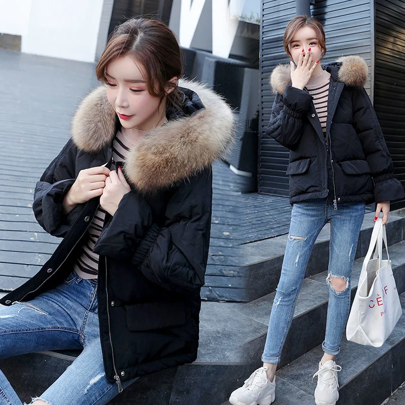 Winter Down Coat Female Brand Clothes 2019 Warm Duck Jacket Women Fashion Parka Raccoon Fur Coats Hiver LW1698 | Женская одежда