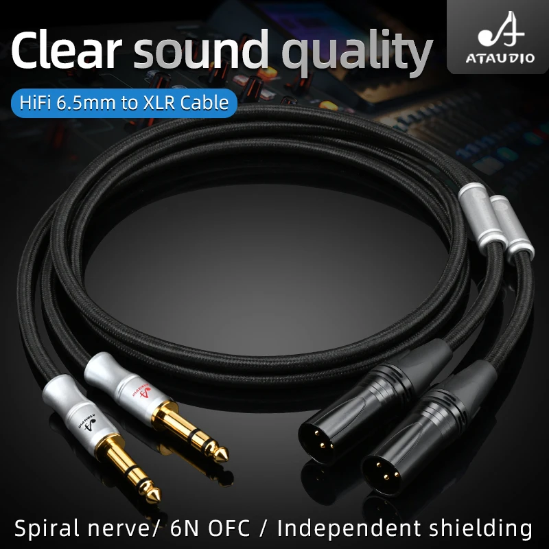 Premium Dual TRS to XLR Balanced Audio Cable for Microphones and DJ Equipment