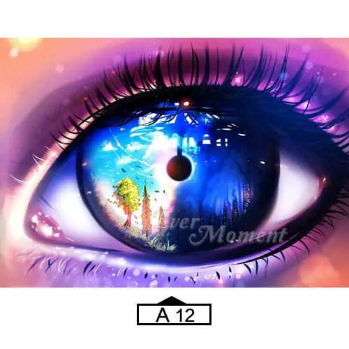 A12 Алмазная картина "Ever Moment", 5D, сделай сам, глаз, огонь, снег, Бабочка, полная квадратная мозаика, стразы, алмазная вышивка S2F2372 - Цвет: A12