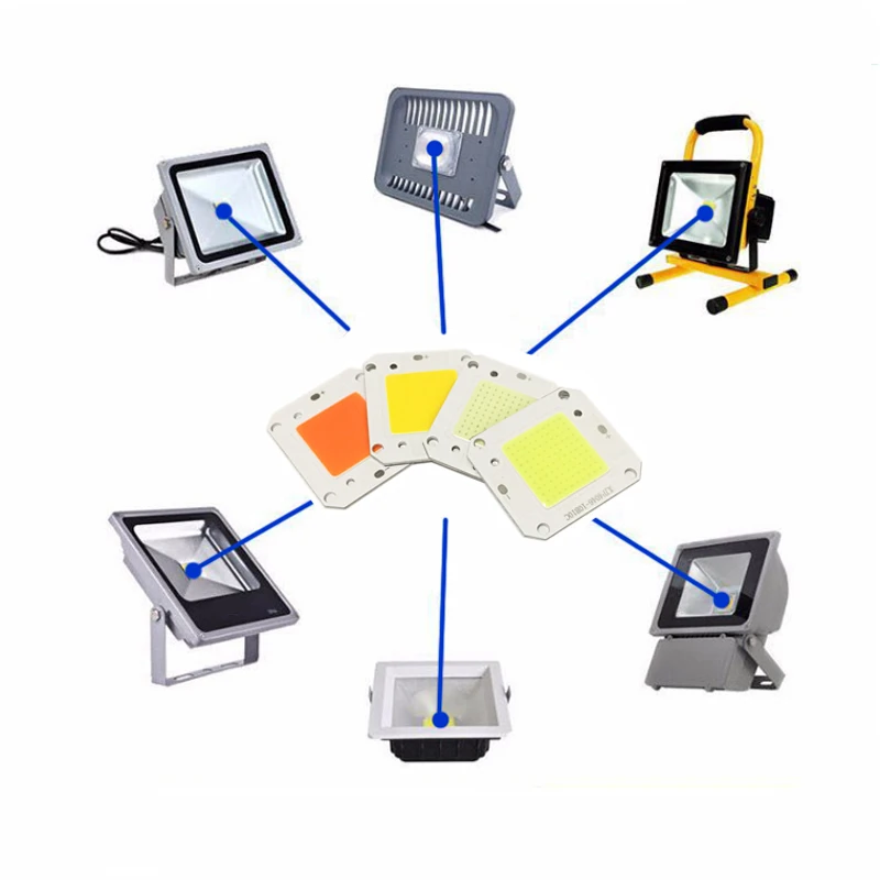 8890689646_703598646